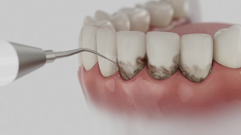 Reliable Dental contractor in Hoquiam, WA by Dentist Open Now